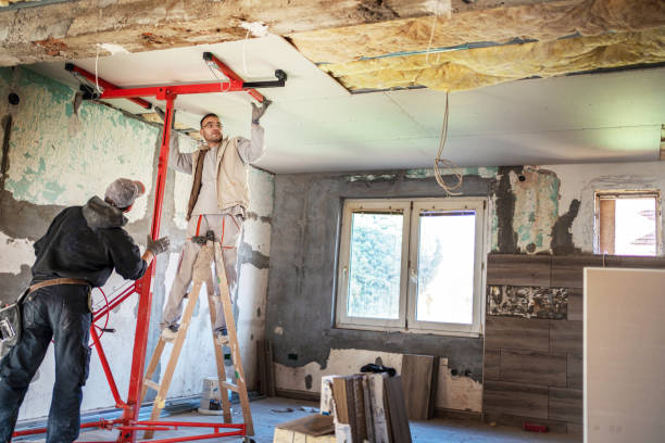 Best Eco-Friendly Insulation in Anna, TX