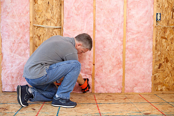 Best Fiberglass Insulation in Anna, TX