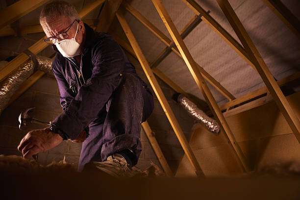 Best Specialized Insulation Services in Anna, TX