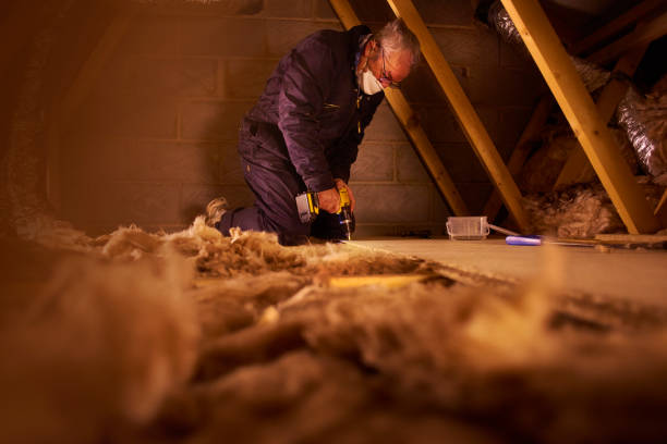 Best Insulation Maintenance and Repair in Anna, TX